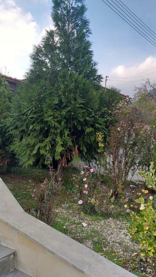 Protopapas House Κάτω Αμίαντος Εξωτερικό φωτογραφία